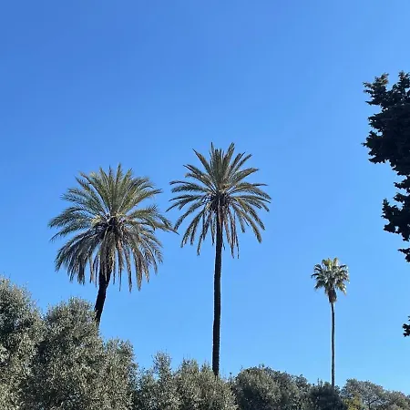 Appartamento Colosseo Gardens - My Extra *