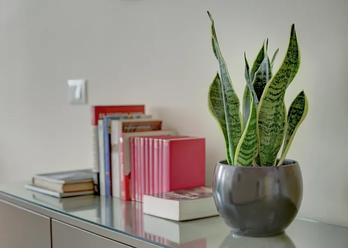 Colosseo Gardens - My Extra Róma