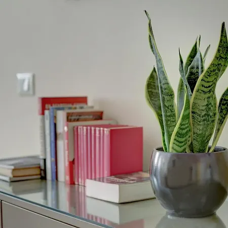 كولوسيو جاردنز - ماي إكسترا هوم روما